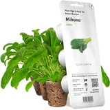 Click & Grow Click and Grow Mibuna