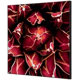 Showdown Displays Wanddekoration Set rot/schwarz 40x40 cm 1 St.