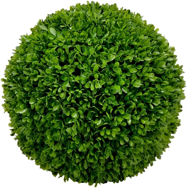 Buchs Kugel D30cm grün