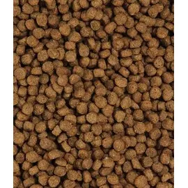 Dehner Premium Light Senior Trockenfutter 2 kg