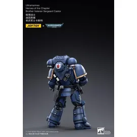 HEO GMBH Warhammer 40k Actionfigur Bruder Veteran Sergeant Castor 12 cm