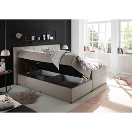 ed exciting design Boxspringbett GRAZIA 180 x 200 cm - Braun/Beige