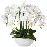 Creativ green künstliche Pflanze Phalaenopsis, 54cm, "Real Touch"