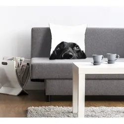 Dekokissen QUEENCE "Labby", schwarz (schwarz, weiß, bedruckt), B:40cm L:40cm, Polyester, Dekokissen_Sitzkissen_Kissenhüllen, mit einem neugierigen Labrador
