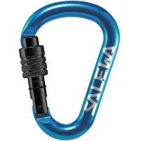 Salewa HMS-Karabiner Blau
