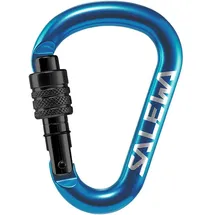 Salewa HMS-Karabiner Blau