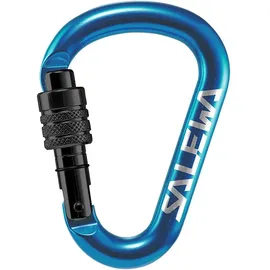 Salewa HMS-Karabiner Blau