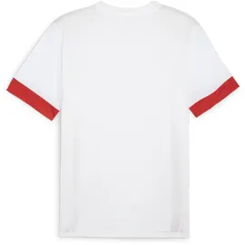 Puma teamGOAL Matchday Jersey