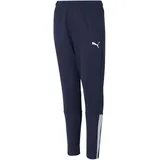 Puma teamLIGA Jogginghose Blau 164