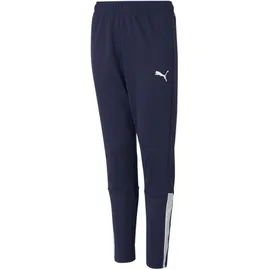Puma teamLIGA Jogginghose Blau 164