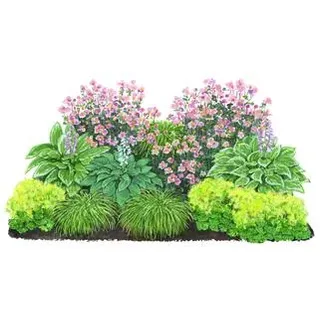 Stauden-Set Schattengarten, 12-teilig, Bunt