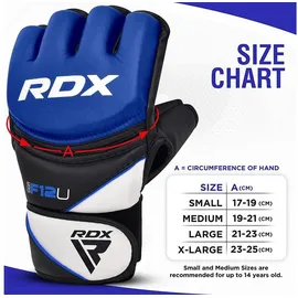 Rdx sports MMA Handschuhe blau