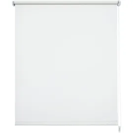 LIEDECO Seitenzugrollo Uni 142 x 180 cm weiß