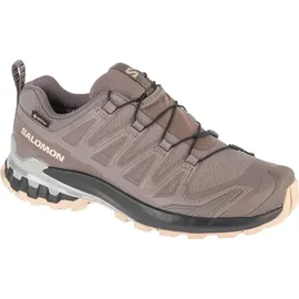 Salomon XA Pro 3D V9 GTX Damen Plum Kitten/Black/Gull 37 1/3