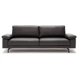creation by rolf benz Einzelcouch 2-Sitzer Braun/Grau