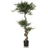 bümö Bümö, Kunstpflanzen, Kunstpflanze Akazie (acacia) (155 cm)