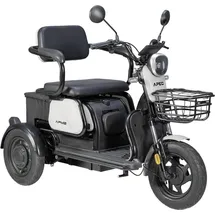 Volta APM 2 1,0 PS 25 km/h Weiß