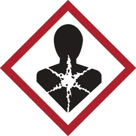tecwerk 1K-Pistolenschaum 750 ml