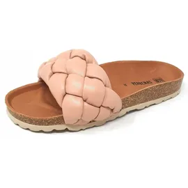 Verbenas Rai Roda rose 38