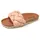 Verbenas Rai Roda rose 38