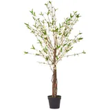 Homescapes Kunstbaum Blüten creme, 155 cm hoch