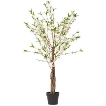 Homescapes Kunstbaum Blüten creme, 155 cm hoch