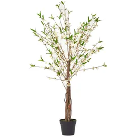 Homescapes Kunstbaum Blüten creme, 155 cm hoch