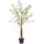 Homescapes Kunstbaum Blüten creme, 155 cm hoch
