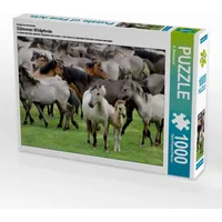 Calvendo Dülmener Wildpferde mit Stute und Fohlen 1000 Teile