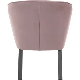 exxpo - sofa fashion Sessel EXXPO - SOFA FASHION "Americano, Loungesessel", pink (powder pink), B:66cm H:80cm T:69cm, Sessel, Sessel, mit Keder und Metallfüßen, Bezug in verschiedenen Qualitäten, 1 Stck.