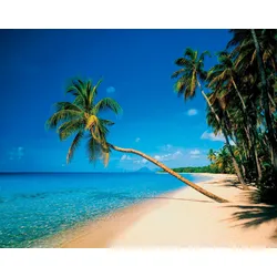 Fototapete PAPERMOON "Leaning Palms", bunt (mehrfarbig), B:3,5m L:2,6m, Vlies, Tapeten