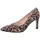 Gabor Pumps in Braun | Gr.: 40