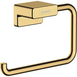 Hansgrohe AddStoris Papierrollenhalter 41771990