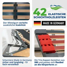 reha-schlafwelt 7 Zonen Lattenrost mit Kopf- und Fußteilverstellung 120 x 200 cm