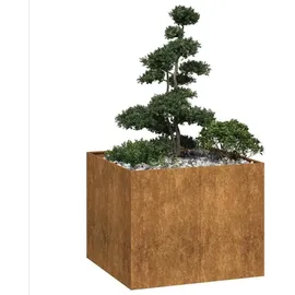 vidaXL Rostig 100 x 100 x 80 cm Braun