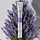 VT COSMETICS Reedle Shot Augencreme 15 ml