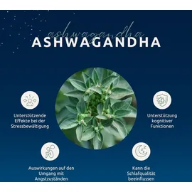 Dr. Theiss Naturwaren Dr. Theiss Melatonin Einschlaf-Tropfen intensiv