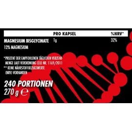 Big-Zone Magnesium Bisglycinat 240 Kapseln