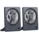 Pearl Akku-Ventilator 2 St.