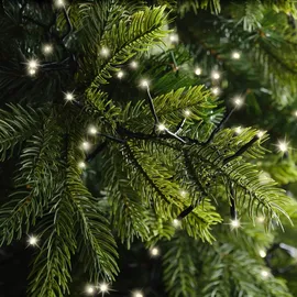Kaemingk LED-Lichterkette 15 m schwarz warmweiß