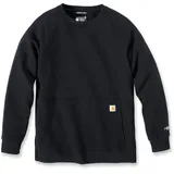 CARHARTT Sweatshirt Schwarz XL