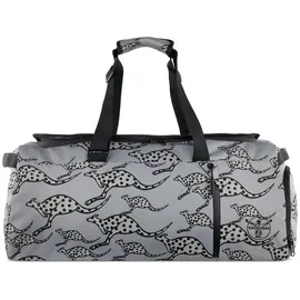 Chiemsee Jump N Fly Sporttasche grau