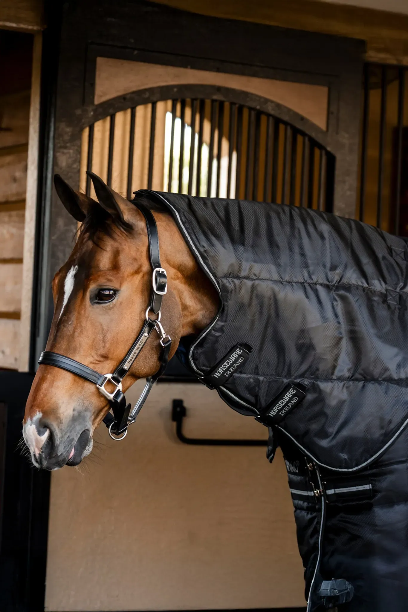 Horseware Amigo Ripstop Insulator Plus Stalldecke, 350 g