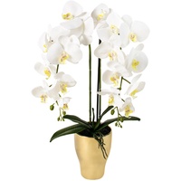 TreesHouse Premium Orchideen Künstlich XL (ca. 60cm) I Künstliche Orchideen wie Echt I Blumen Deko I Künstliche Orchideen im Topf I Hergestellt in der EU I 2 Stängel - 18 Blüten I Weiß