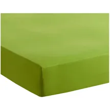 Traumschlaf Spannbettlaken Jersey-Baumwolle 120 x 200 - 130 x 200 cm grün