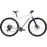 KROSS Gravelbike Esker 1.0 2026 28 Zoll RH 51 cm grau/lila