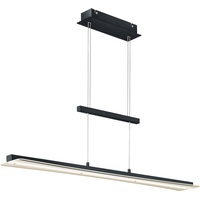 Trio Reality Leuchten LED-Pendelleuchte Smash Alu, Eisen, Stahl &