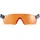 Protos Schutzbrille