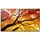 Sharp MultiSync M982 98"