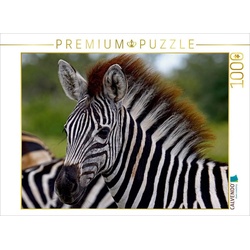 CALVENDO Puzzle CALVENDO Puzzle Zebra-Nachwuchs, Afrika 1000 Teile Lege-Größe 64 x 48 cm Foto-Puzzle Bild von Wibke Woyke, 1000 Puzzleteile